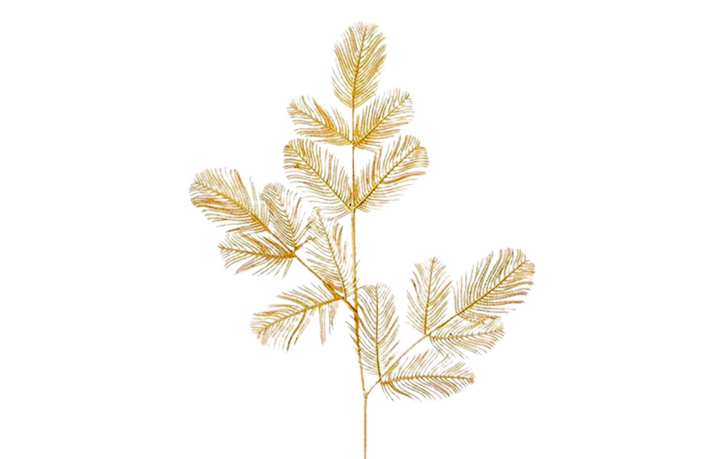 Декоративна клонка – изображение-1