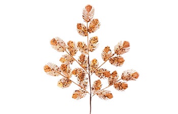 Декоративна клонка – изображение-1