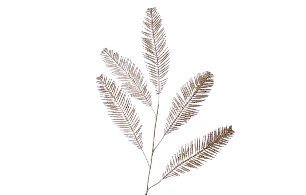 Декоративна клонка – изображение-1