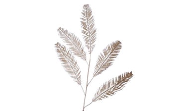 Декоративна клонка – изображение-1