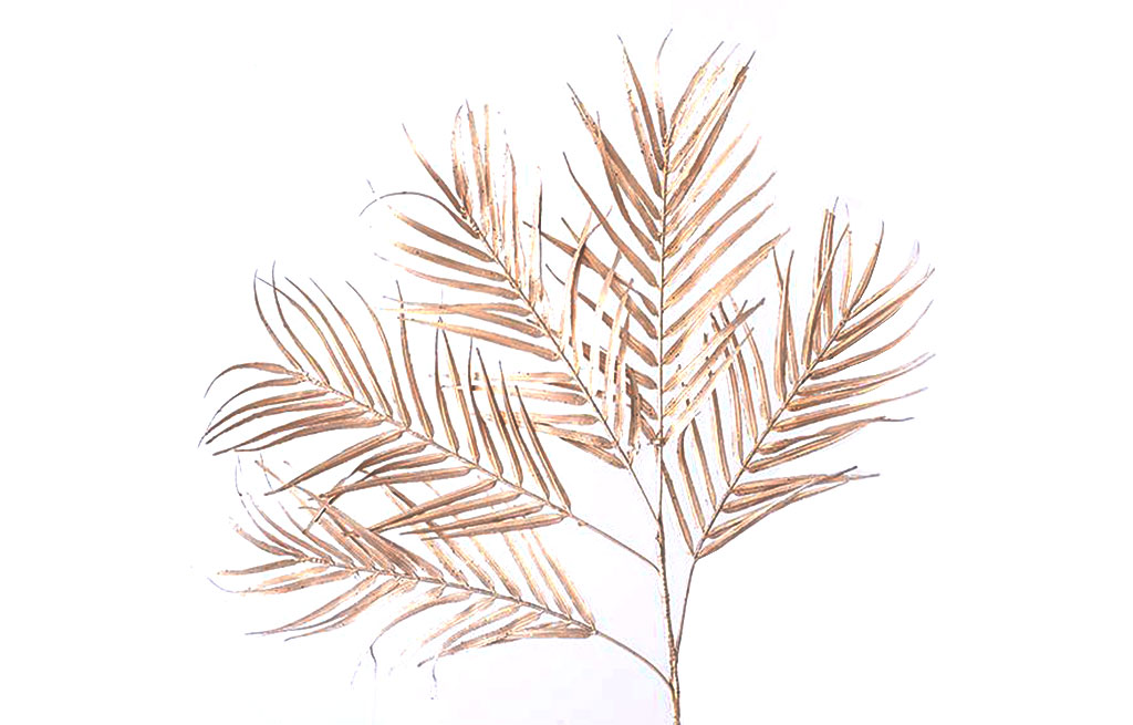 Декоративна клонка – изображение-1