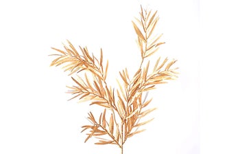 Декоративна клонка – изображение-1