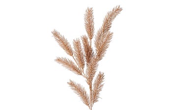 Декоративна клонка – изображение-1