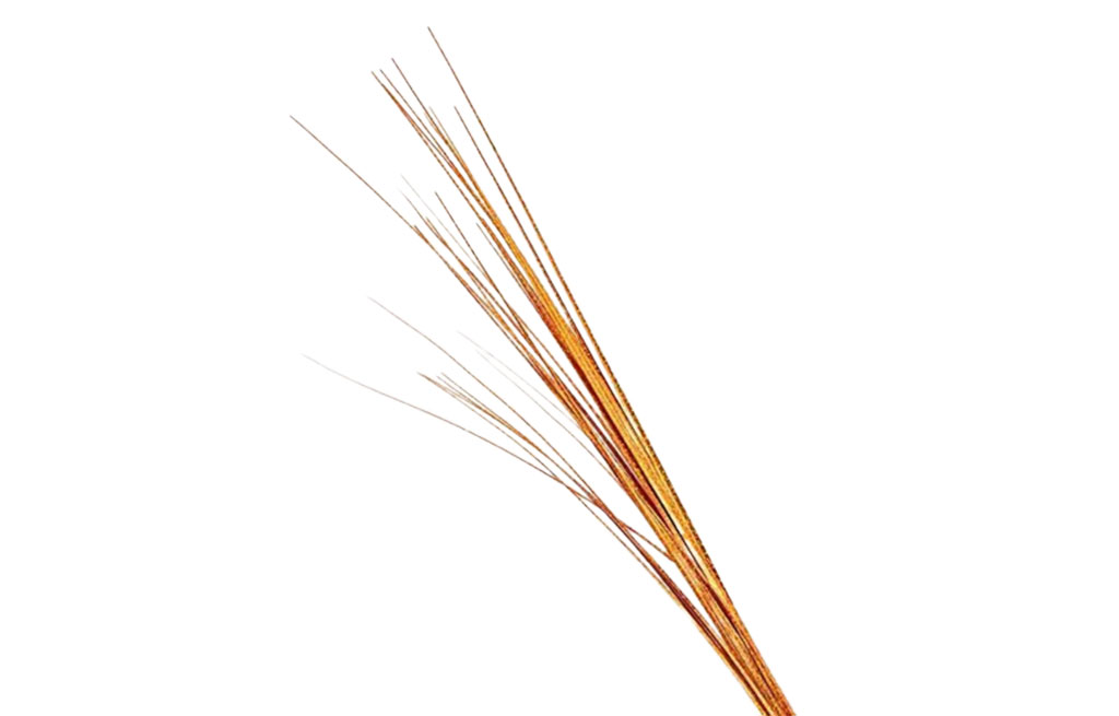 Декоративна клонка – изображение-1