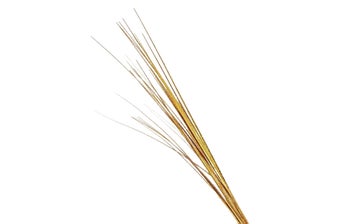 Декоративна клонка – изображение-1