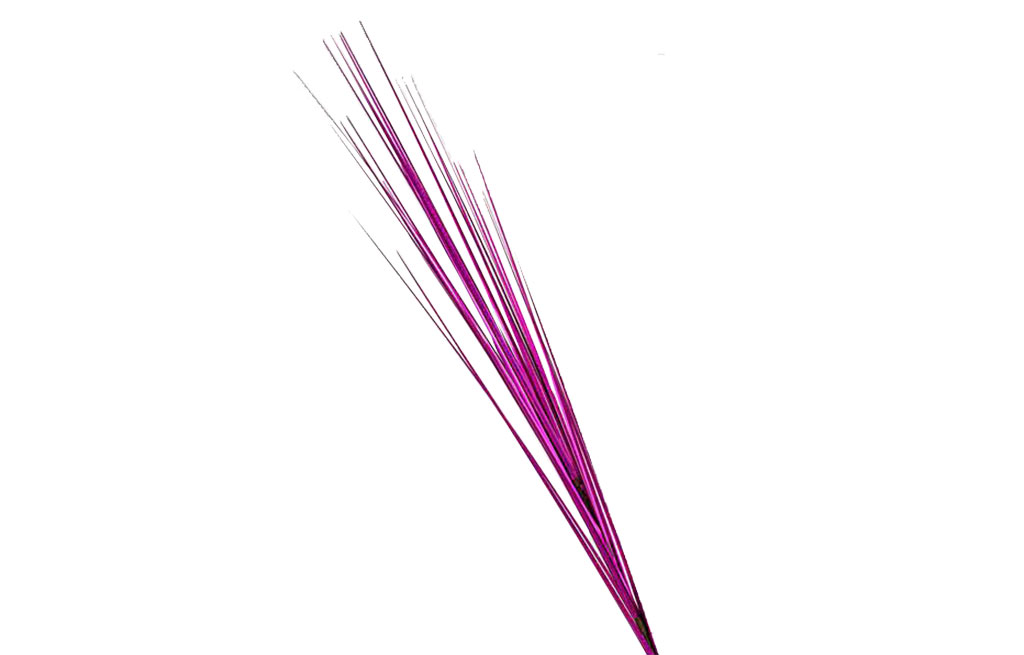 Декоративна клонка – изображение-1