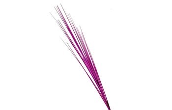 Декоративна клонка – изображение-1