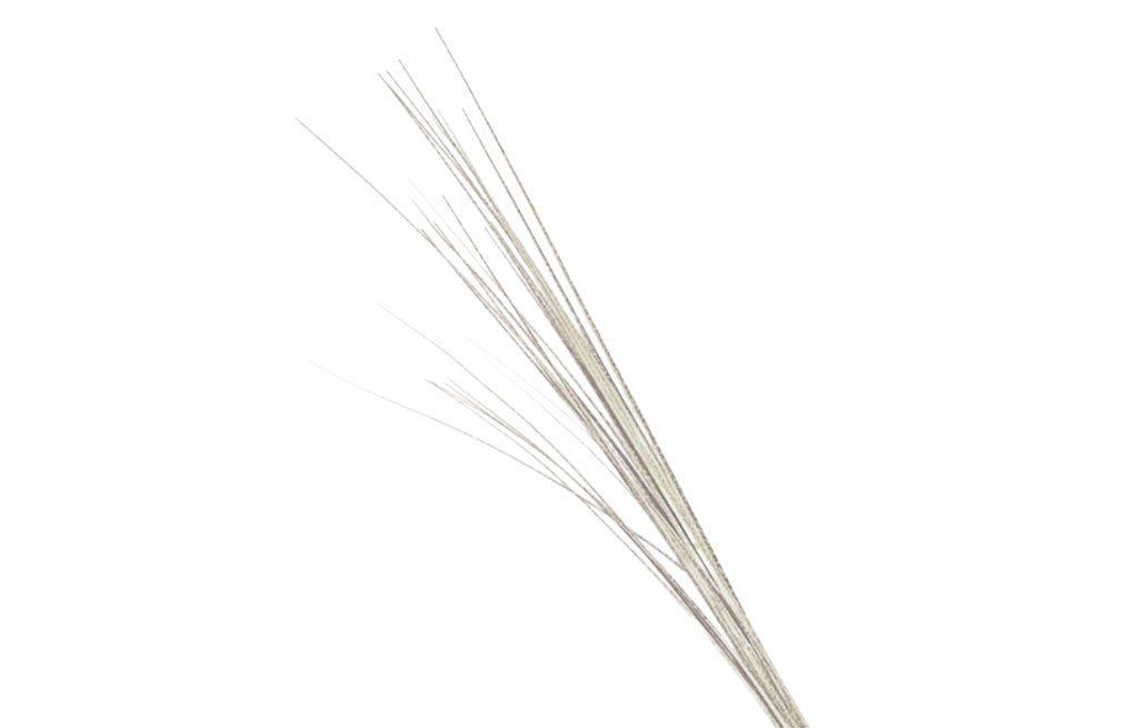 Декоративна клонка – изображение-1