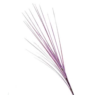 Декоративна клонка – изображение-1