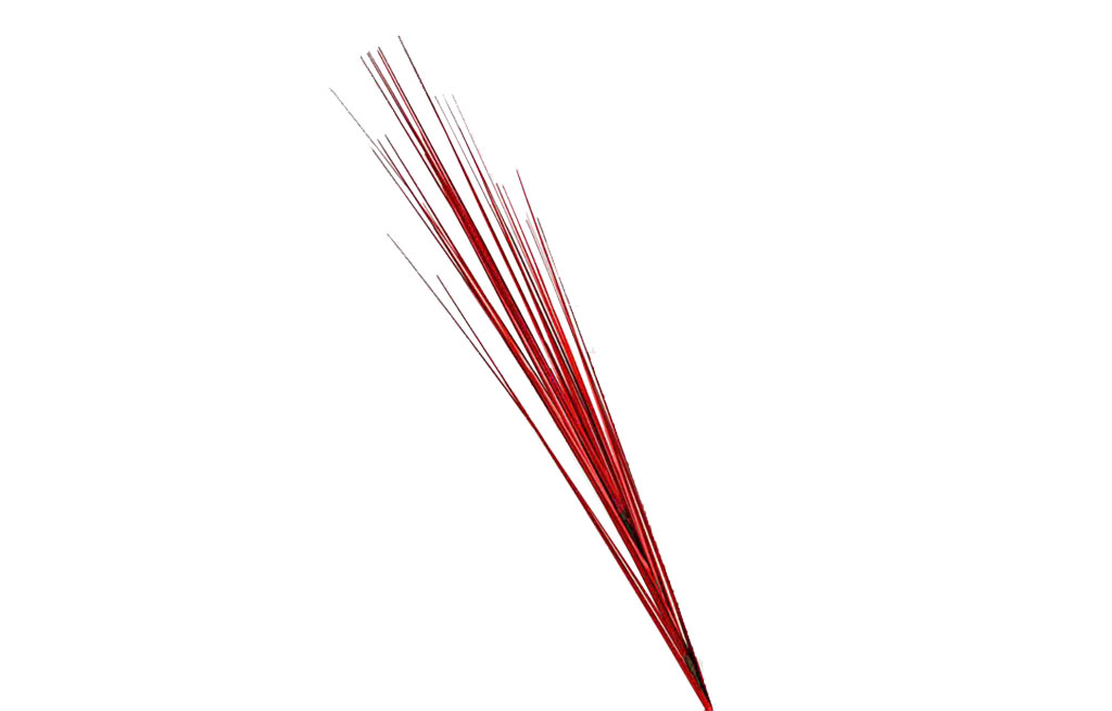 Декоративна клонка – изображение-1