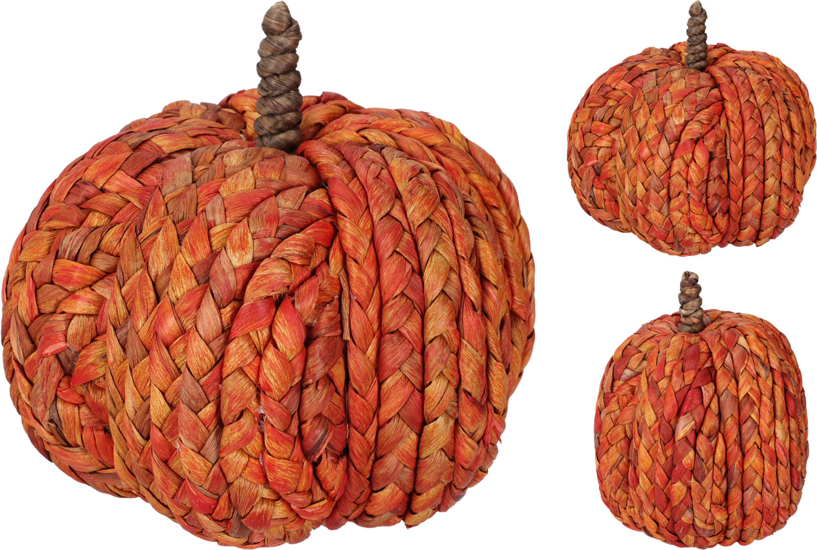Декоративна тиква – изображение-1