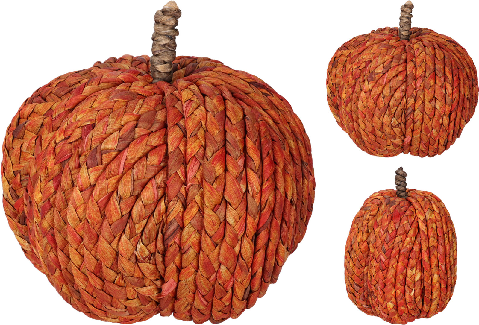 Декоративна тиква – изображение-1