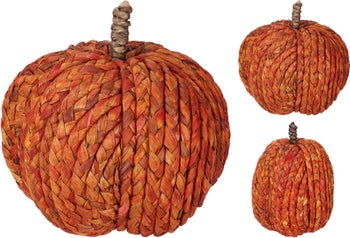 Декоративна тиква – изображение-1