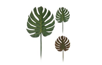 Декоративно листо – изображение-1