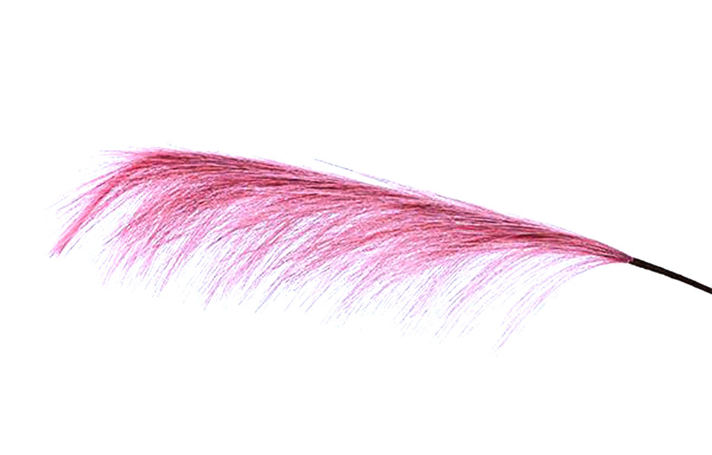Декоративно перо – изображение-1