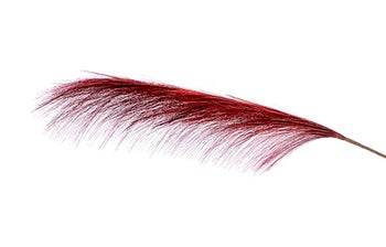 Декоративно перо – изображение-1