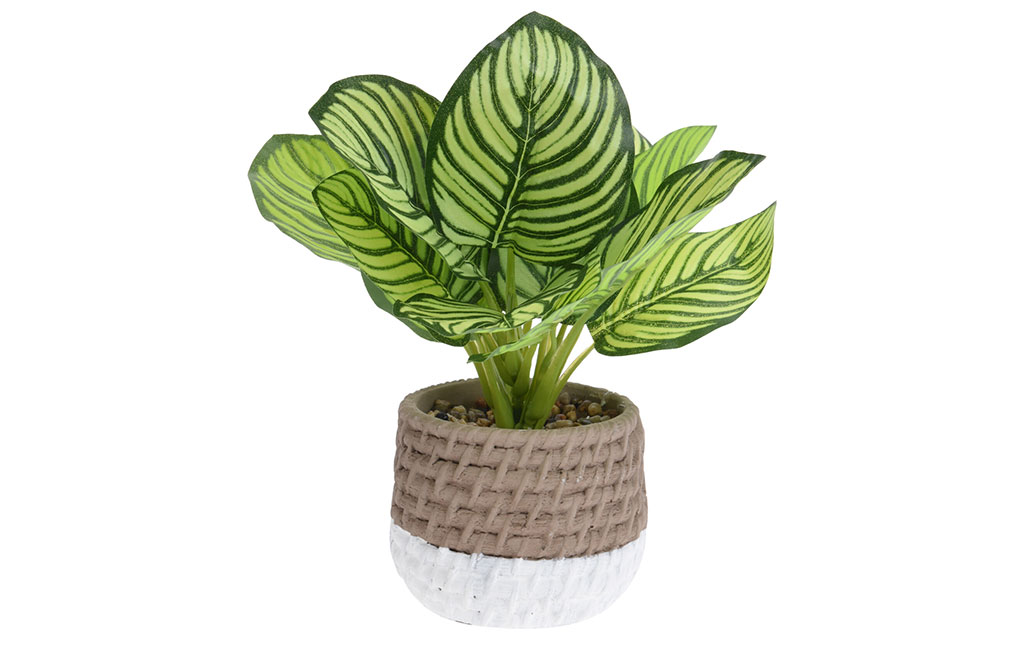 Декоративно цвете в саксия – изображение-1