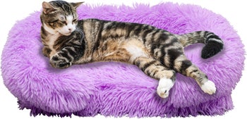 produkt: Hundbädd/Kattbädd Fluffy Purple.