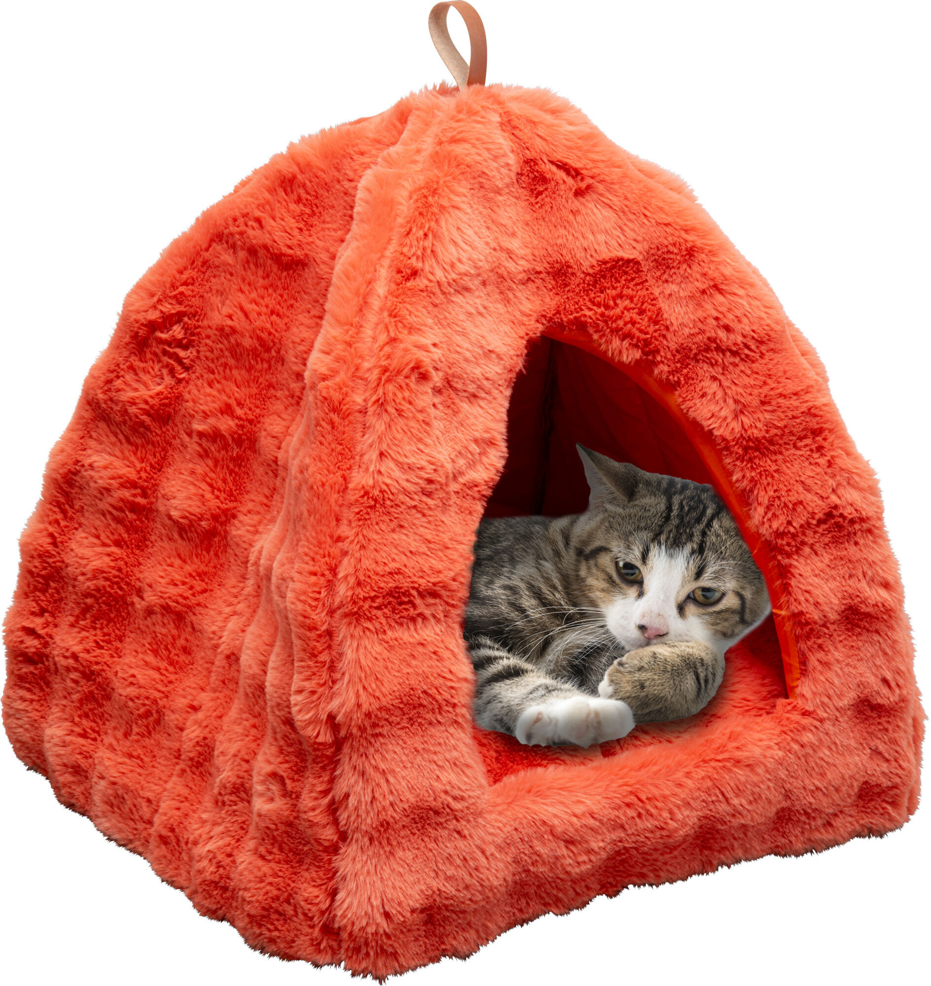 Cuccia per cani/gatti arancione – immagine-1.