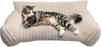 Hundbädd/Kattbädd Oase Beige – bild-1.