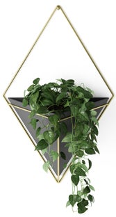 Doniczka ścienna kamionka czarna 22x39 cm – obraz-1