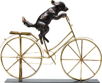 Hund på cykel – billede-1.