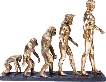 Ukrasna figura Evolution – slika-1.