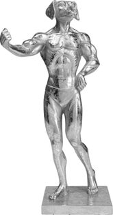Деко обект Muscle Dog Silver – изображение-1.