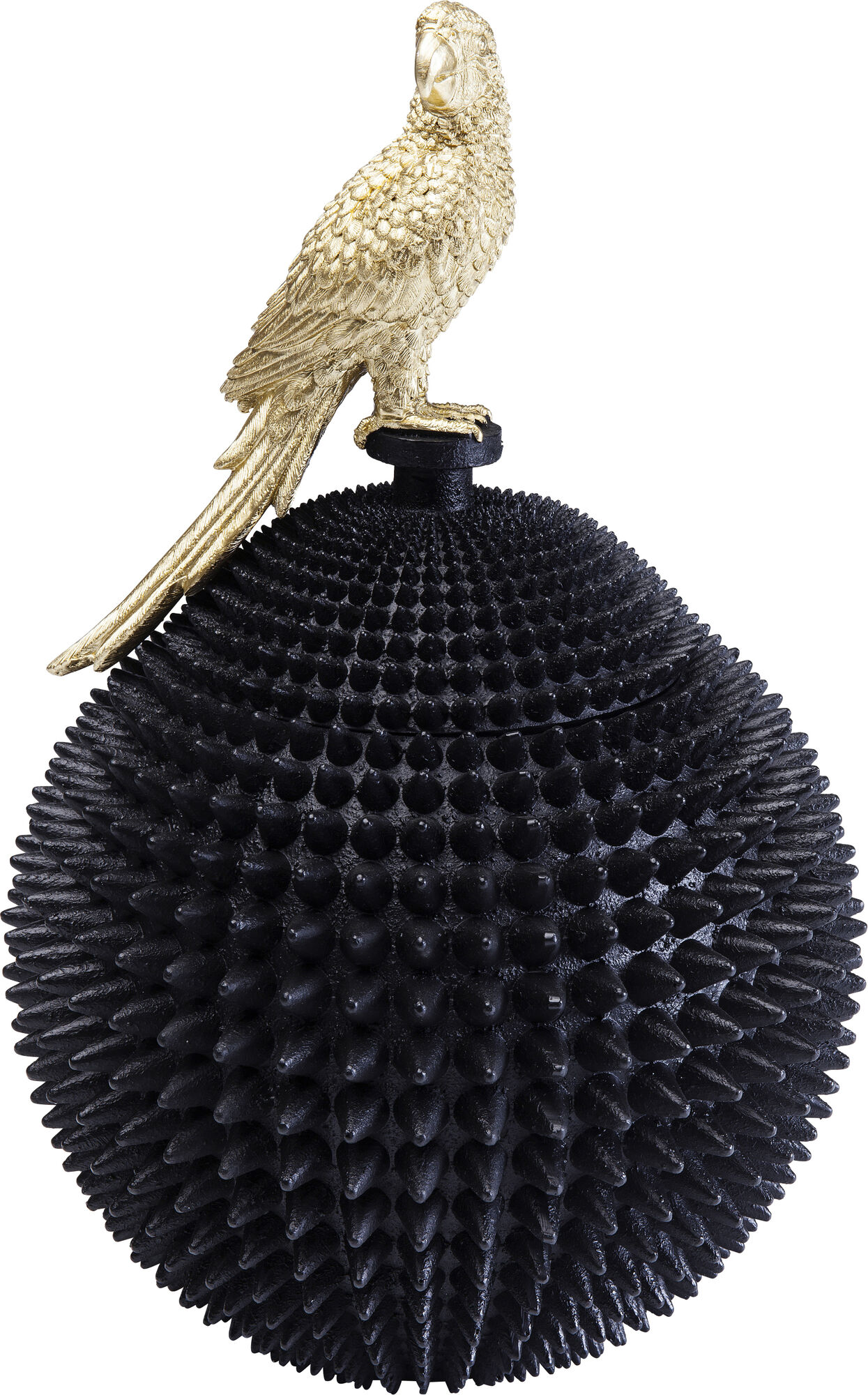 Cutie decorativa Parrot – imagine-1.