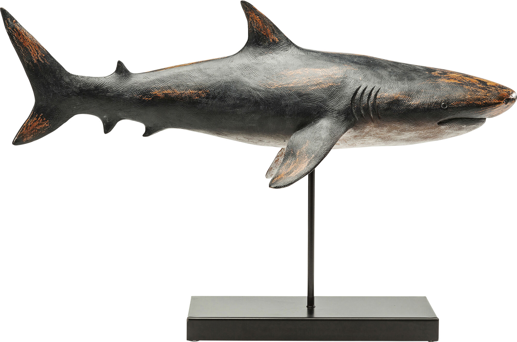 GREAT WHITE SHARK FIGURA EXPLODING LAB NATURE PLASTIC MODEL KIT