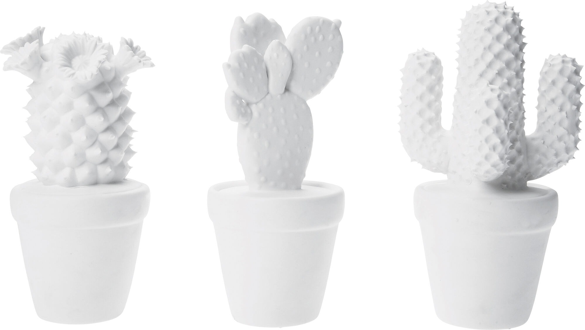 DECO OBJECT CACTUS WHITE ASSORTED – immagine-1.