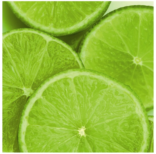 Фото-репродукция Frog ІІ – изображение-1