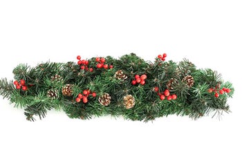 Герлянд Зелена клонка с шишарки – изображение-1