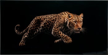 Cuadro enmarcado Hunting Leopard 200x100cm – Imagen-1.