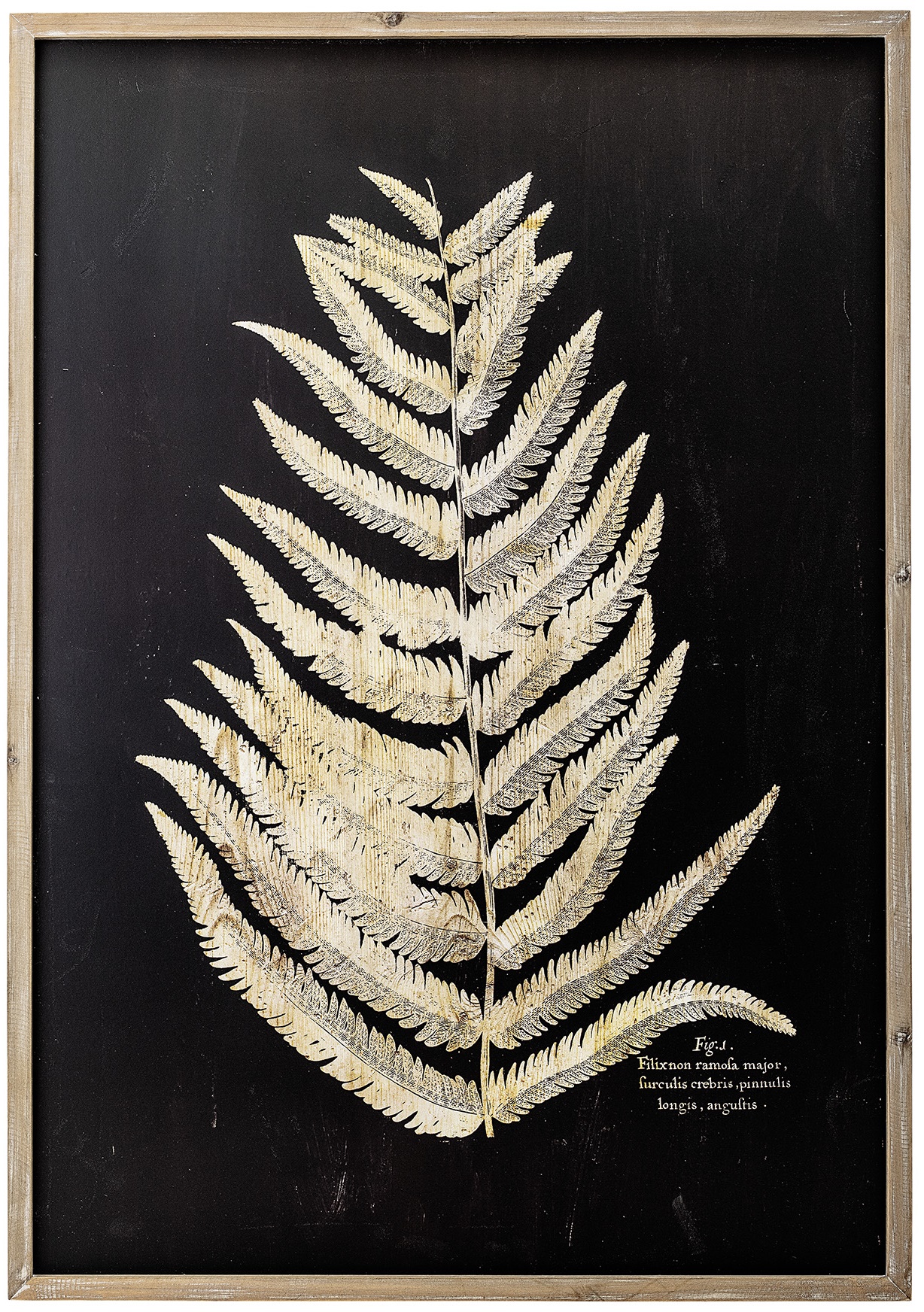 Grafika Filixis 70x100 cm – obraz-1