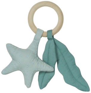 Grzechotka Ocean niebieska – obraz-1