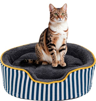 produkt: Hundbädd/Kattbädd Molly.