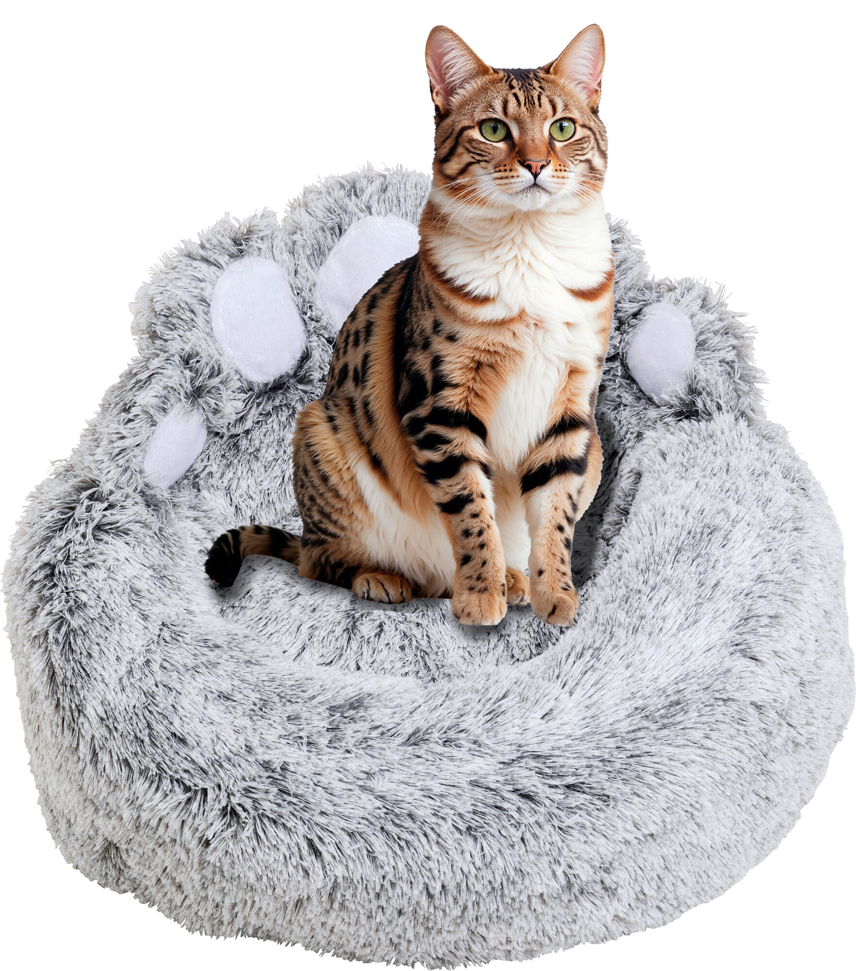 Paw Kutyaágy  – kép-1.