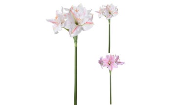 Изкуств клонче Беладона – изображение-1