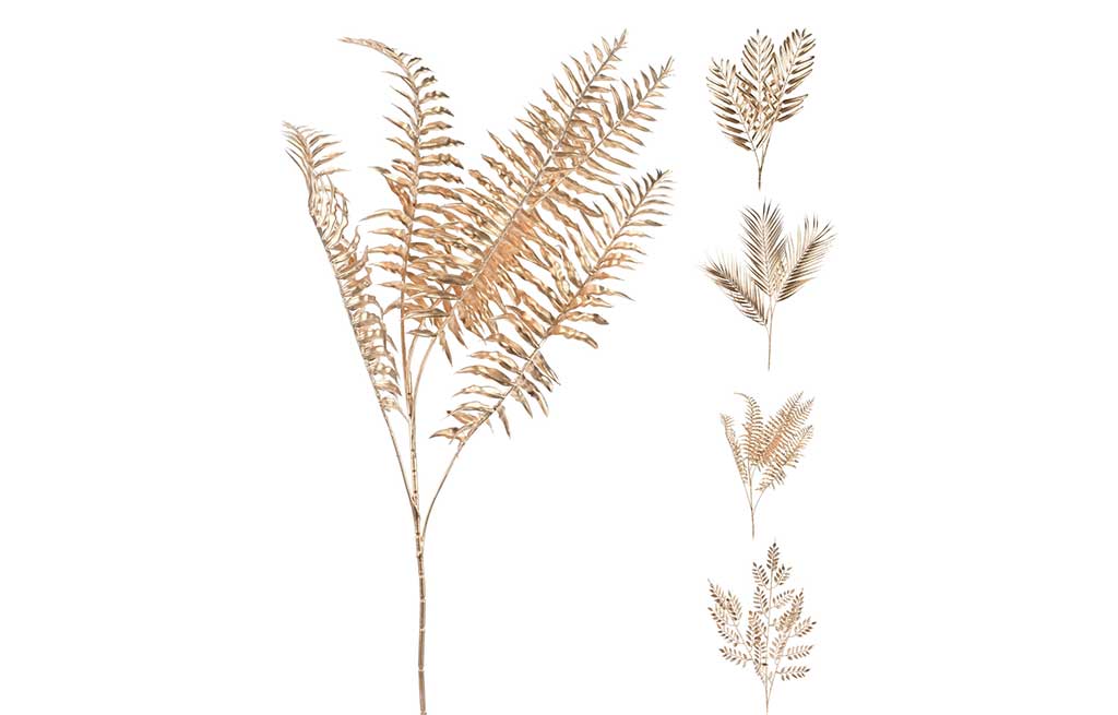 Клонка – изображение-1