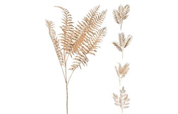 Клонка – изображение-1