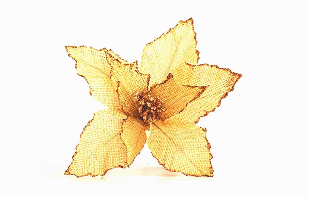 Коледна звезда – изображение-1