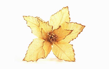 Коледна звезда – изображение-1