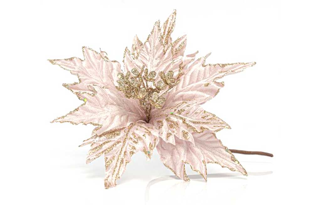 Коледна звезда – изображение-1