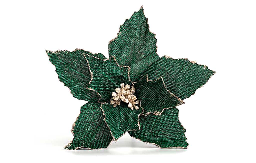 Коледна звезда – изображение-1