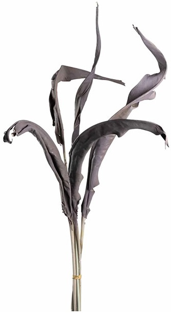 Комплект изкуствени цветя Strelitzia – изображение-1