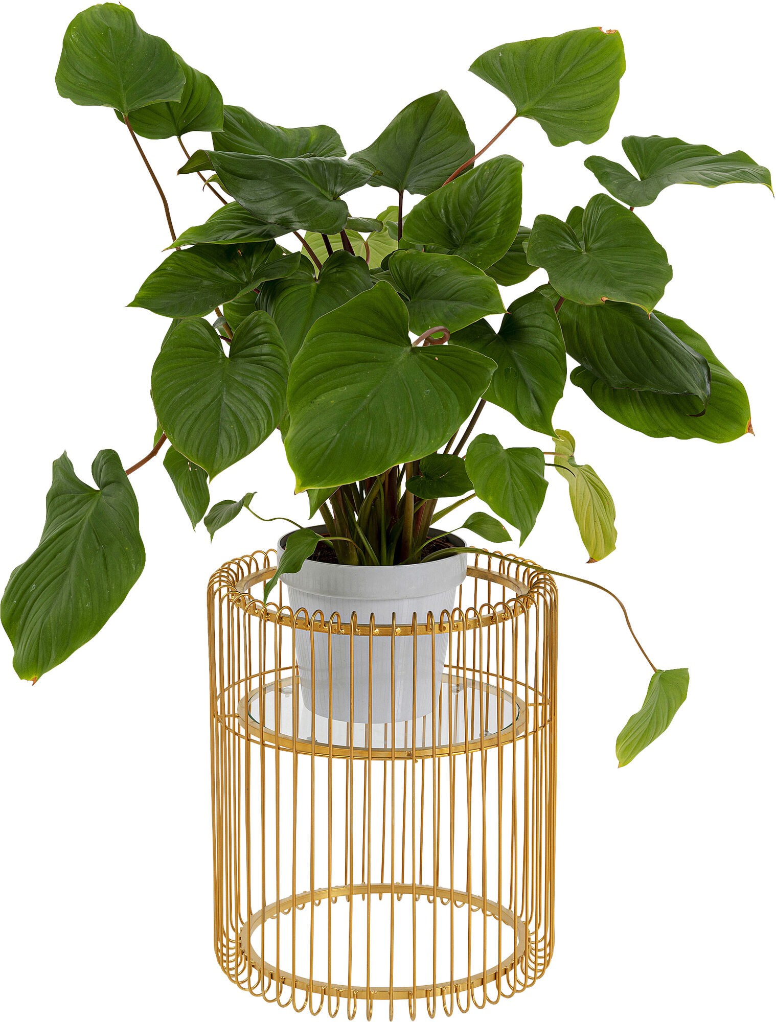 Кашпа Wire Gold 44cm – изображение-1.