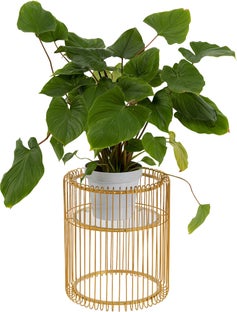 Кашпа Wire Gold 44cm – изображение-1.