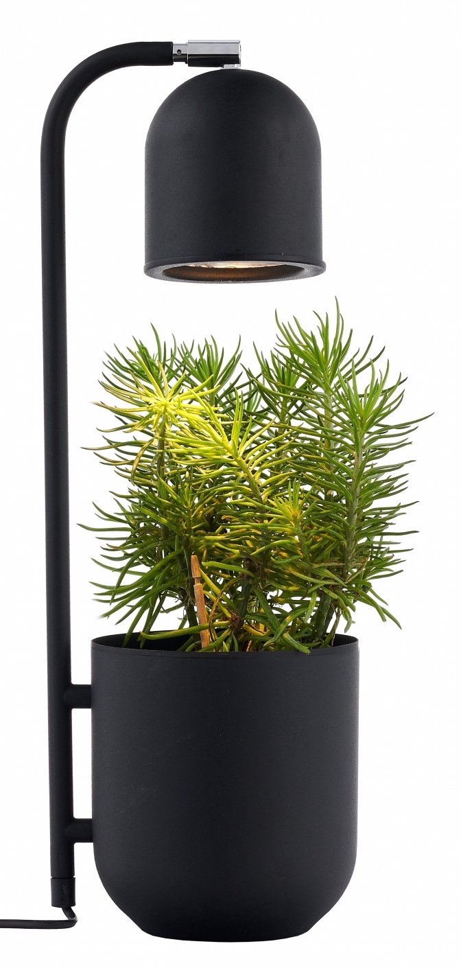 Lampa stołowa Botanica ∅16x52 cm czarna – obraz-1