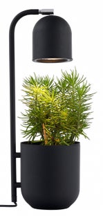 Lampa stołowa Botanica ∅16x52 cm czarna – obraz-1
